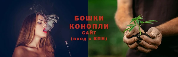 шишки Наволоки