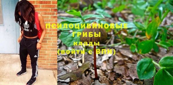 шишки Наволоки
