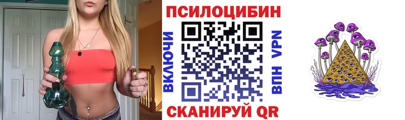 закладки  Сураж  гидра ONION  Псилоцибиновые грибы мицелий 